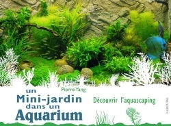 Un mini jardin dans un aquarium - Image principale