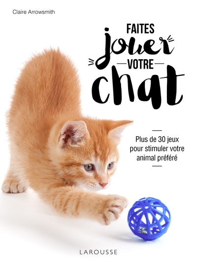Faites jouer votre chat ! - Image principale