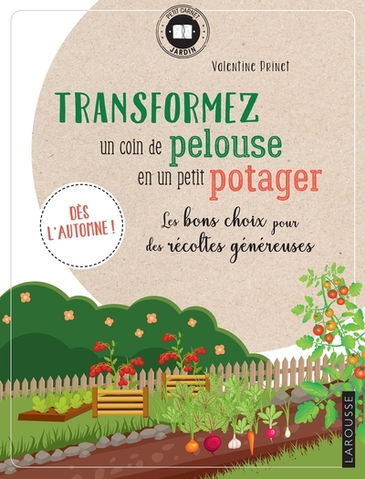 Transformez un coin de pelouse en un petit potager - Image principale