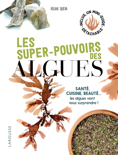 Les super pouvoirs des algues - Image principale