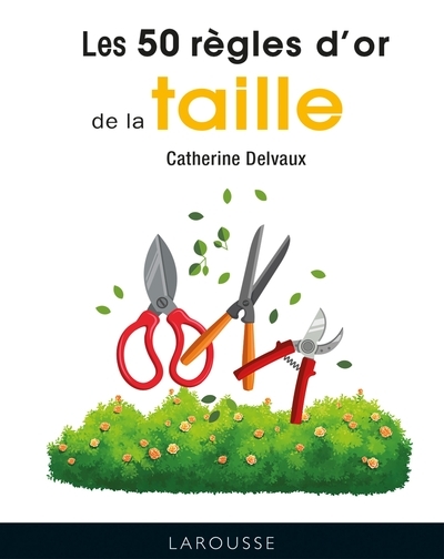 Les 50 règles d'or de la taille - Image principale