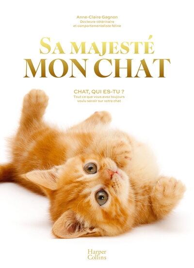 Sa majesté mon chat - Image principale