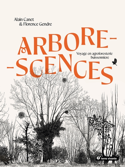 Arborescences - Image principale