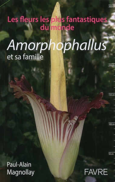 Amorphophallus et sa famille - Image principale