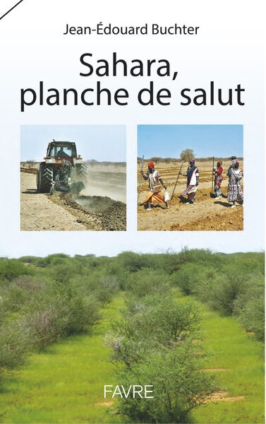 Sahara, planche de salut - Image principale