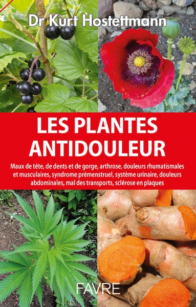 Les plantes antidouleur - Image principale