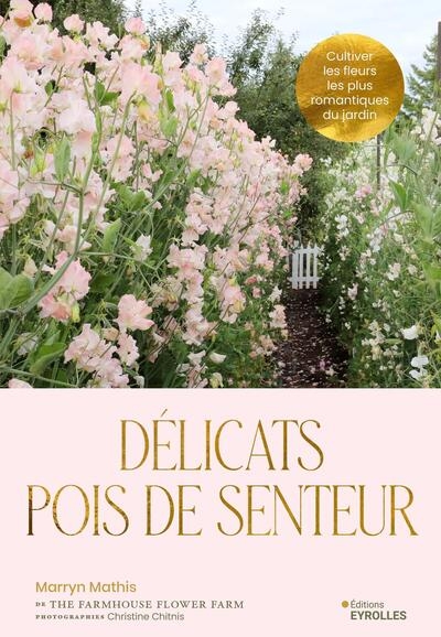 Délicats pois de senteur - Image principale