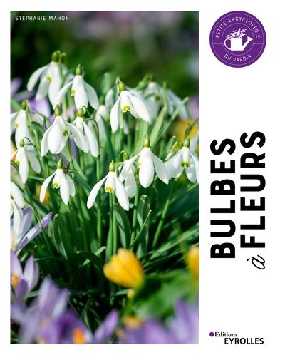 Bulbes à fleurs - Image principale