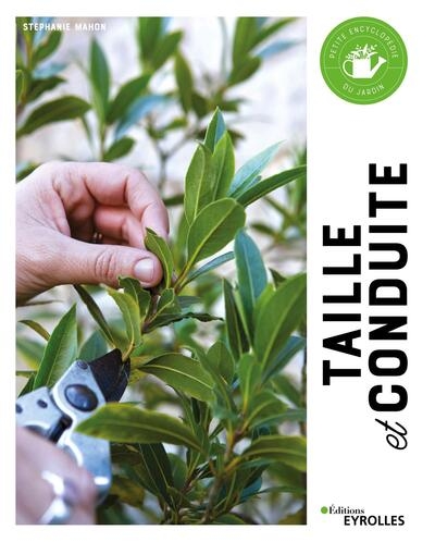 Taille et conduite - Image principale