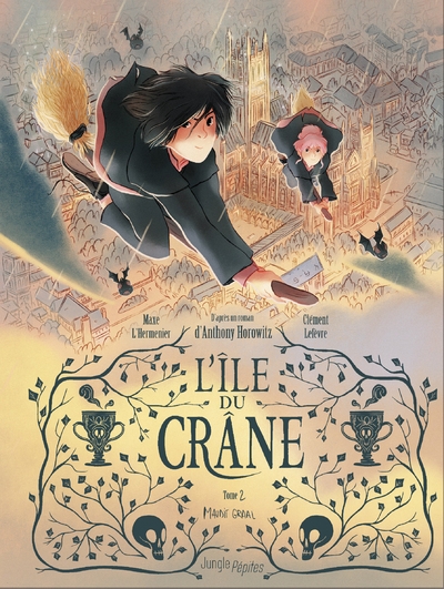 L'île du crâne - tome 2 maudit graal - Image principale