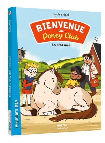 Bienvenue au poney-club - la blessure - Image principale