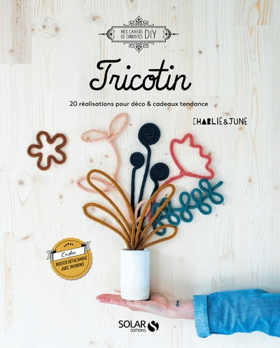 Tricotin - 20 réalisations pour déco & cadeaux tendance - Image principale