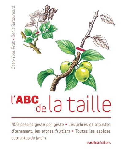 L'abc de la taille - Image principale
