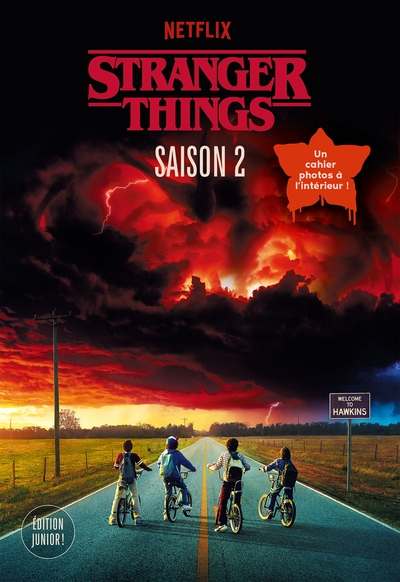 Stranger things - saison 2 - Image principale