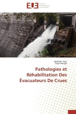 Pathologies et réhabilitation des évacuateurs de crues - Image principale