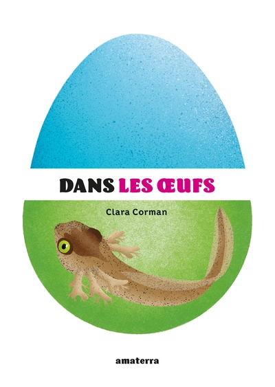 Dans les œufs - Image principale