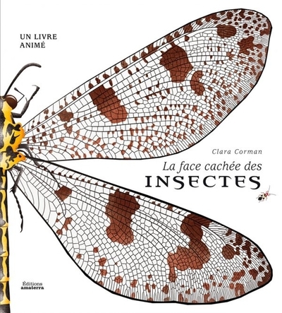 La face cachée des insectes - Image principale
