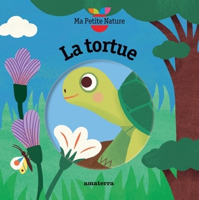 La tortue - Image principale