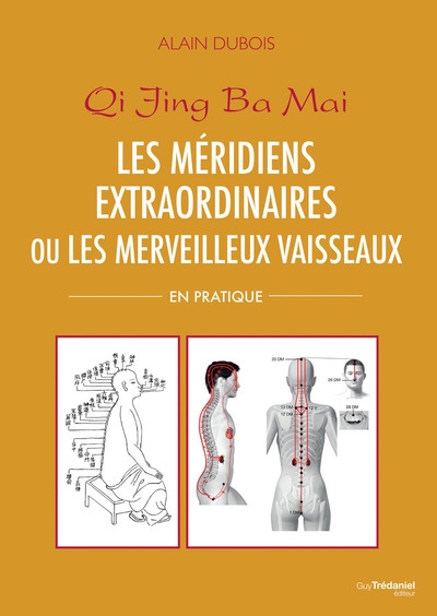 Les méridiens extraordinaires ou les merveilleux vaisseaux - en pratique - Image principale