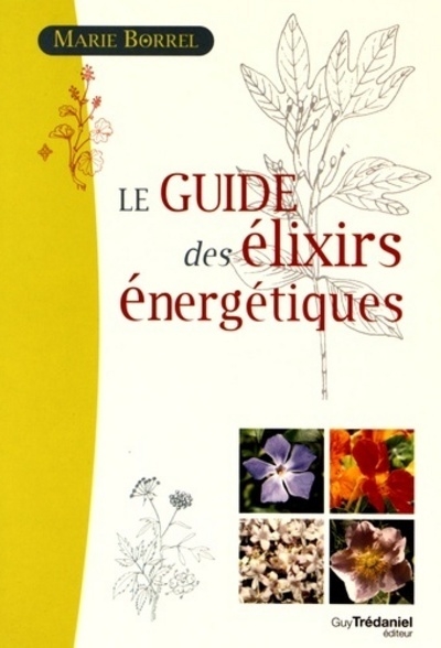 Le guide des élixirs énergétiques - Image principale