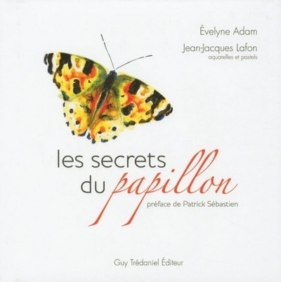 Les secrets du papillon - Image principale