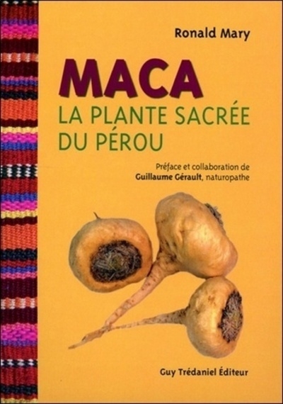 Maca - la plante sacrée du pérou - Image principale
