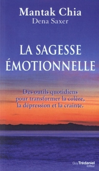 La sagesse émotionnelle - Image principale
