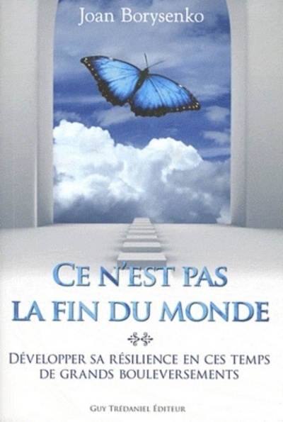 Ce n'est pas la fin du monde - développer sa résilience en ces temps de grands bouleversements - Image principale