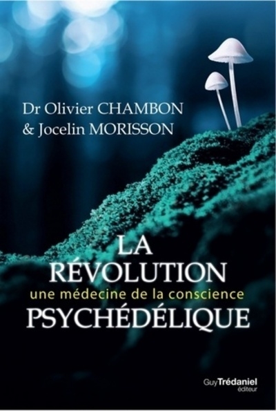 La révolution psychédélique - Image principale