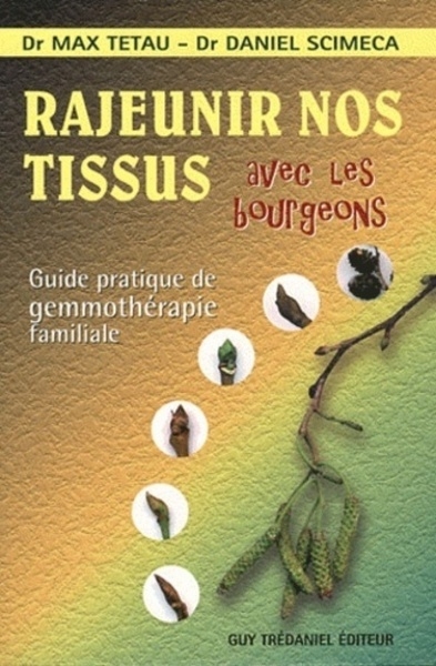 Rajeunir nos tissus avec les bourgeons - Image principale