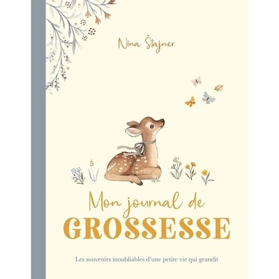 Mon journal de grossesse - Image principale