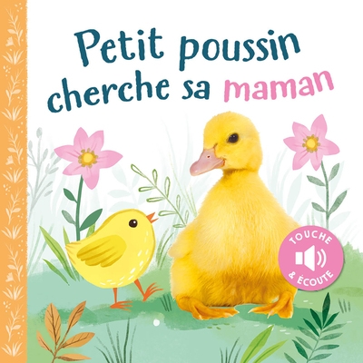 Petit poussin cherche sa maman - Image principale