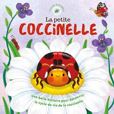 La petite coccinelle - Image principale