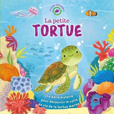 La petite tortue - Image principale