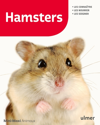Hamsters - Image principale