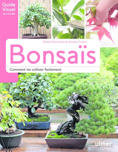 Bonsaïs - comment les cultiver facilement - Image principale