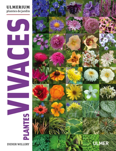 Plantes vivaces - Image principale