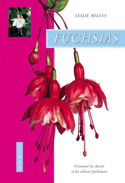 Fuchsias. comment les choisir et les cultiver facilement - Image principale