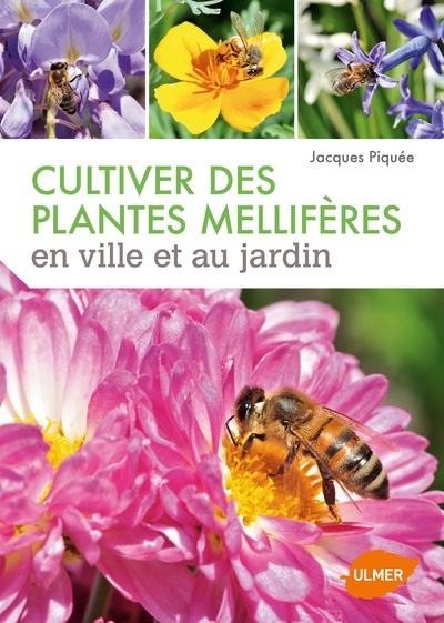 Cultiver des plantes mellifères en ville et au jardin - Image principale