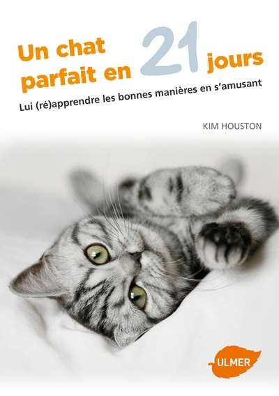 Un chat parfait en 21 jours - lui (ré)apprendre les bonnes manières en s'amusant - Image principale