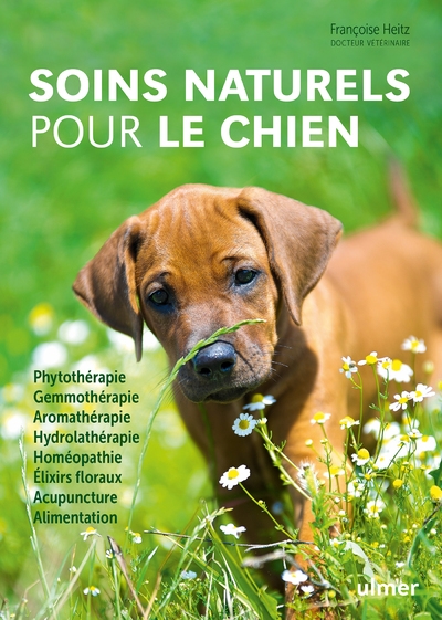 Soins naturels pour le chien - Image principale