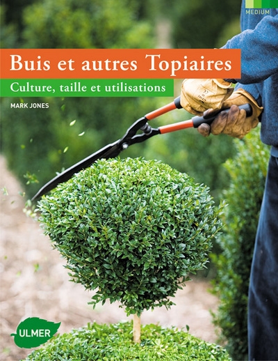 Buis et autres topiaires - Image principale