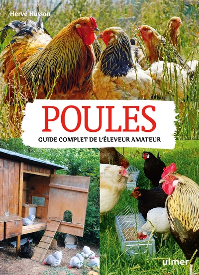Poules. guide complet de l'éleveur amateur - Image principale