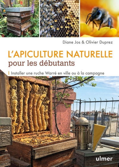 L'apiculture naturelle pour les débutants - Image principale