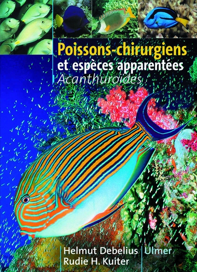 Poissons-chirurgiens - Image principale