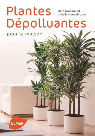 Plantes dépolluantes pour la maison - Image principale
