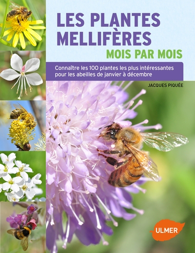 Les plantes mellifères mois par mois - Image principale