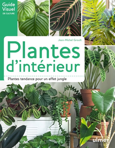 Plantes d'intérieur - Image principale