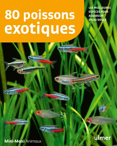 80 poissons exotiques - Image principale