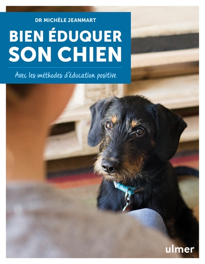 Bien éduquer son chien - Image principale